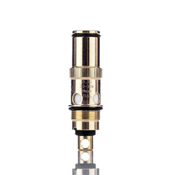 Resistencia DOTMOD - DotAIO MESH / 0.3 Ohms (20-35W)