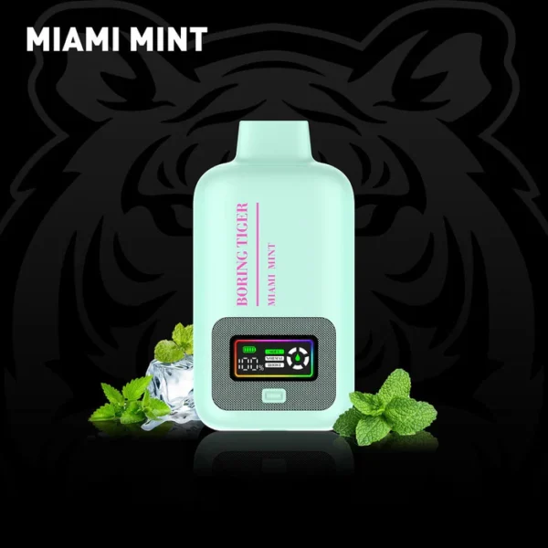 LUFFBAR 40.000 PUFFS - MIAMI MINT
