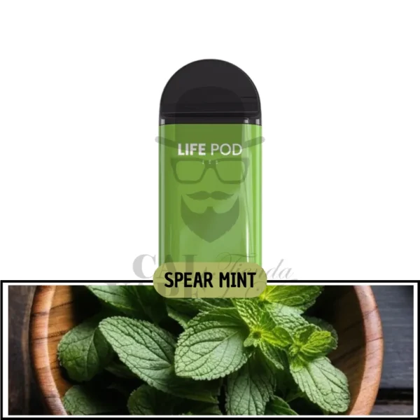 LIFE POD ECO I - CARTUCHO DE RECAMBIO 8.000+ PUFF 15ML 5% - SPEARMINT