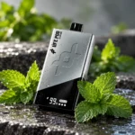 VAPE DESECHABLE LIFE POD ONE +40.000 puffs - "SPEARMINT"