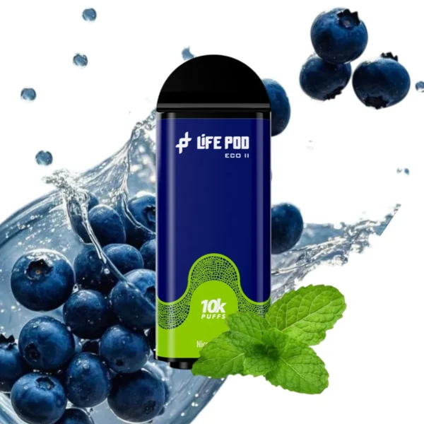 LIFE POD ECO II - CARTUCHO DE RECAMBIO 10000+ PUFF - 20ML 5% - BLUEBERRY MINT