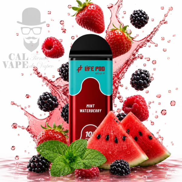 LIFE POD ECO II - CARTUCHO DE RECAMBIO 10000+ PUFF - 20ML 5% - MINT WATERBERRY